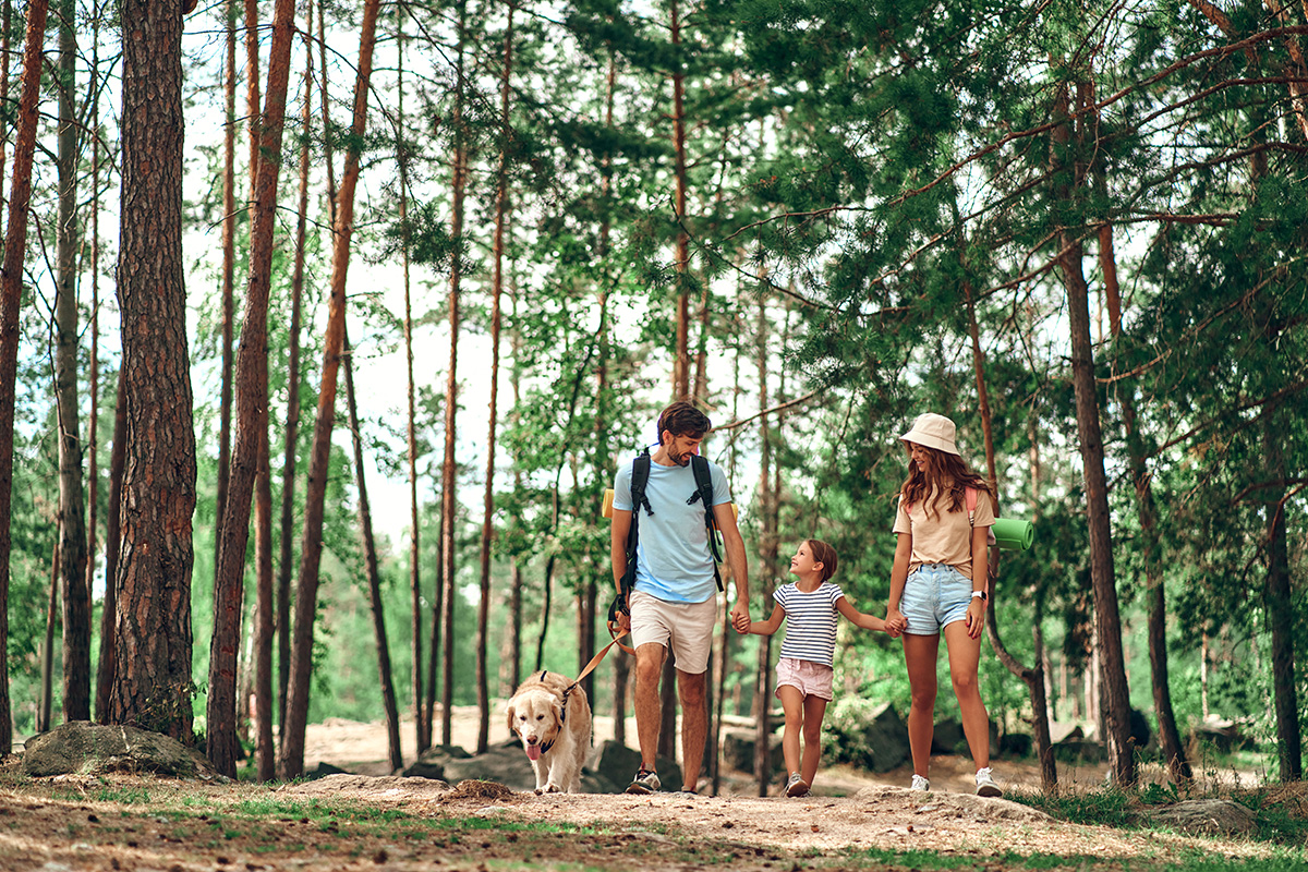 Family hiking in the woods with their dog
